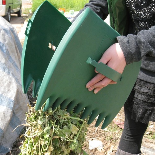 Garden leaf weed claws - leaf,